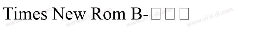 Times New Rom B字体转换